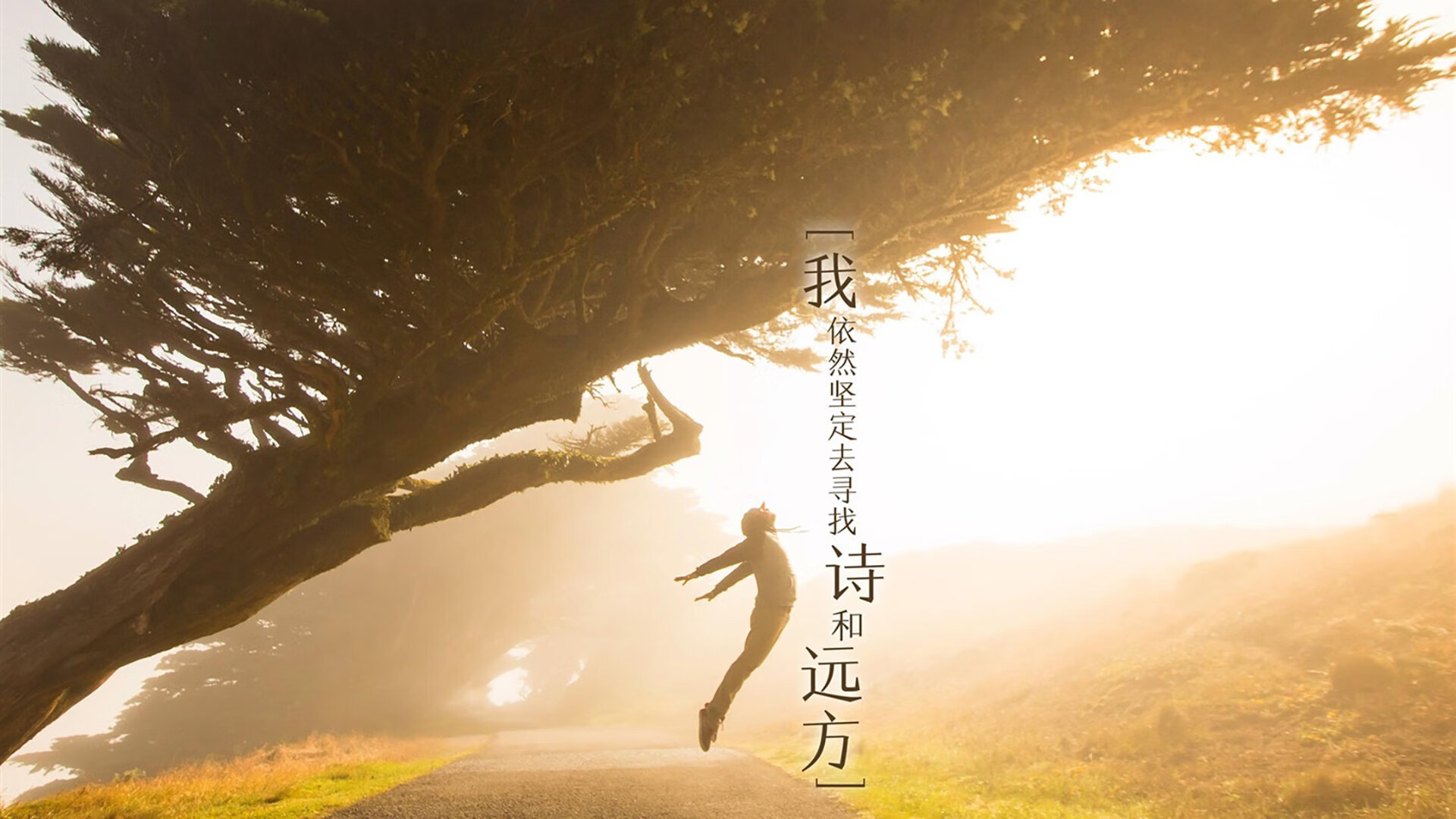 有机蔬菜产地（有机蔬菜哪里好）